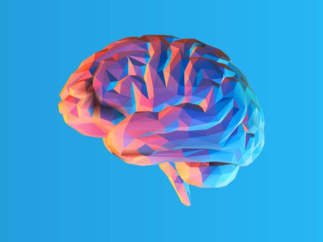 A 3D illustrated brain in pink, orange, and blue hues.