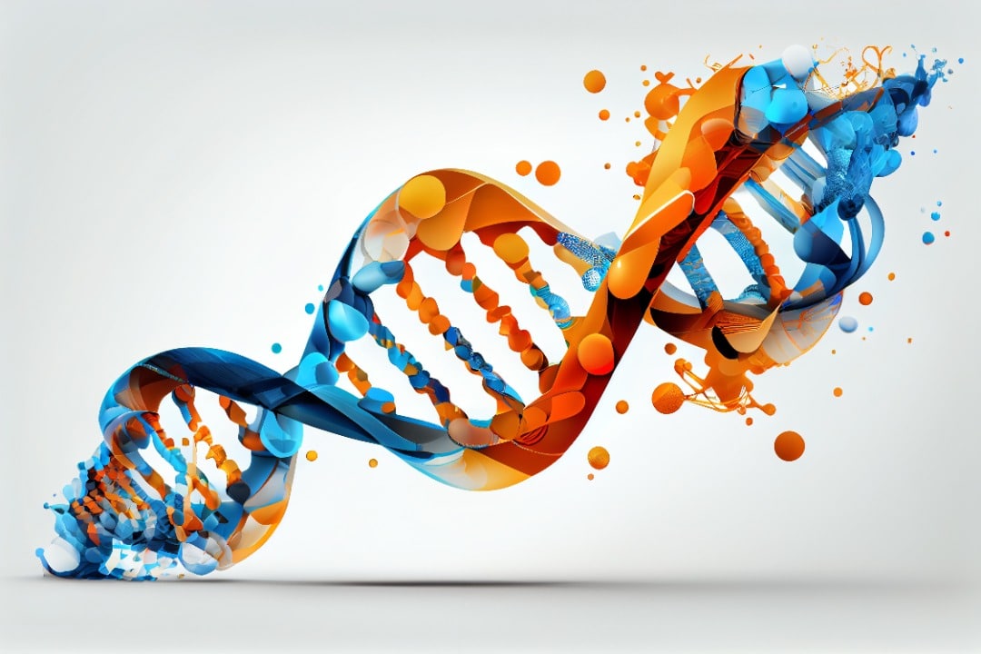 Blue and orange-colored DNA double helix.
